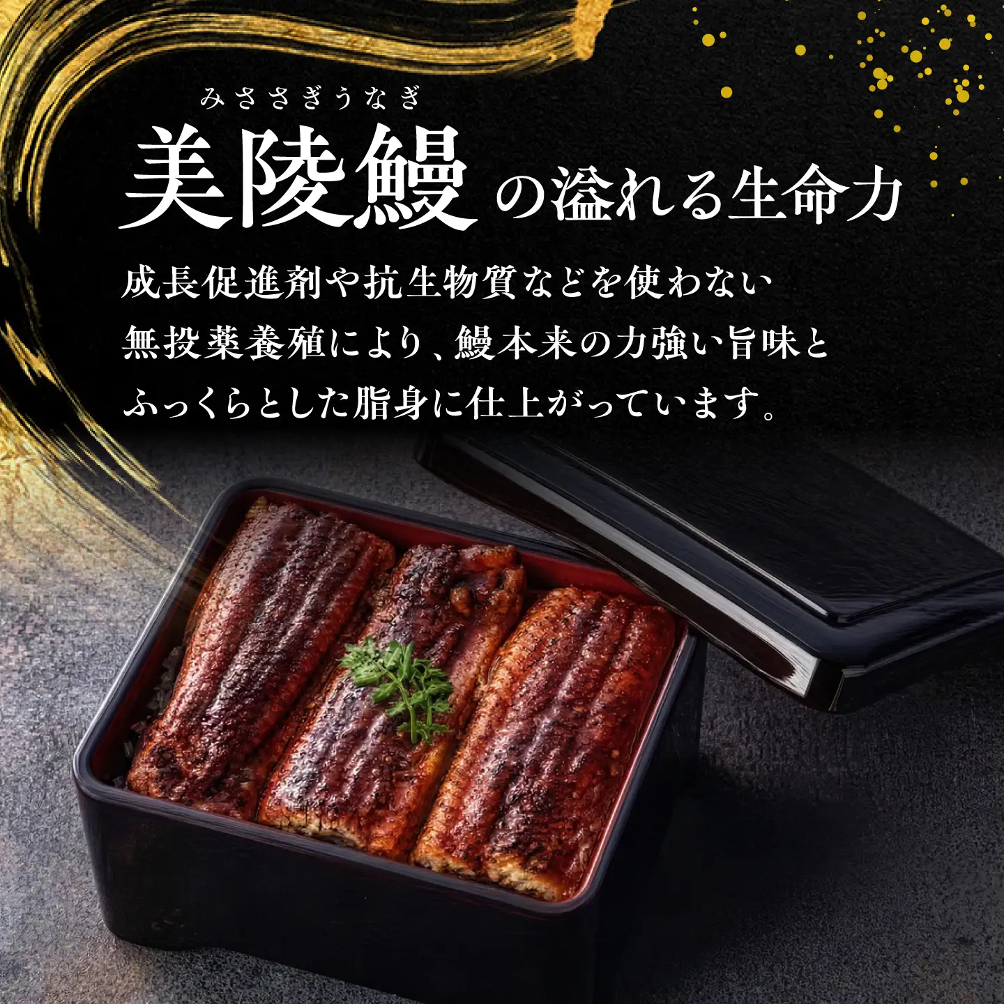 【全3回定期便】 鰻 鰻の蒲焼 2尾 / 美陵鰻 鰻 うなぎ ウナギ 蒲焼 蒲焼き かば焼き 白焼き 白焼 肉厚 うな重 うな丼 ひつまぶし おかず タレ 山椒 国産 スタミナ 土用 丑の日 土用の丑の日 贈答 贈り物 ギフト / 大阪府藤井寺市/(株)れいわ水産[BLAL003]
