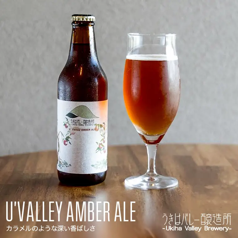 【ふるさと納税】クラフトビール 飲み比べ 4種 8本セット 地ビール ビール 瓶ビール お酒 ギフト 詰め合わせ プレゼント 家飲み お祝い お祝い返し 開店祝い 退職祝い 新築祝い おすすめ 国産 福岡県うきは市 エールビール 送料無料【株式会社うきはバレー醸造所】