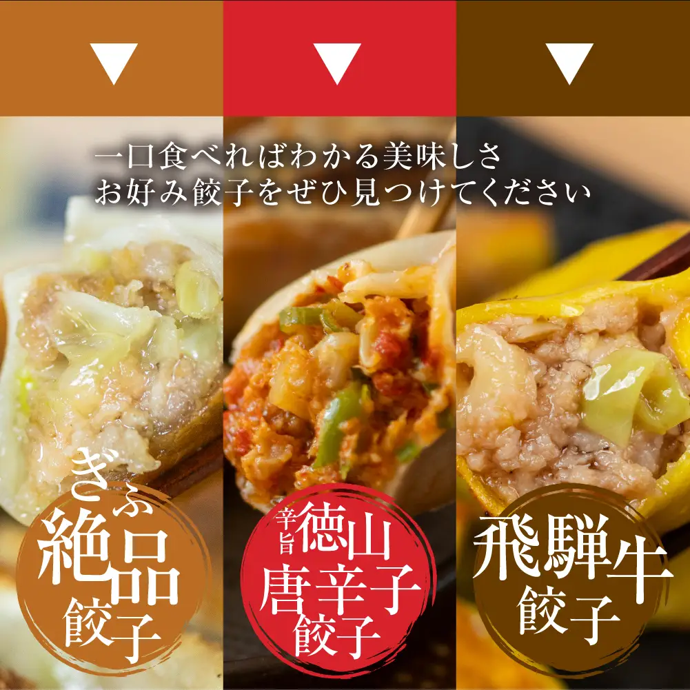 辛旨餃子 ミックス 3種 120個 冷凍餃子 食べ比べ メガ盛り 業務用 ぎょうざ ギョウザ 冷凍 グルメ お取り寄せ グルメ 冷凍食品 国産素材 ジューシー もちもち [mt2218] 22000円 