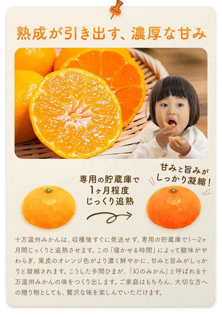 十万温州みかん L/LL混合 10kg 田野農園《12月中旬-3月中旬頃出荷》鹿児島県 さつま町
