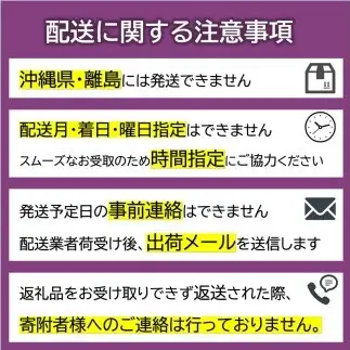 【令和8年産先行予約】 〈訳あり品 家庭用〉 ラ・フランス 約5kg (12～24玉) 《令和8年11月中旬～発送》 『カネタ高橋青果』 ラフランス フルーツ デザート 山形県 南陽市 [2674]