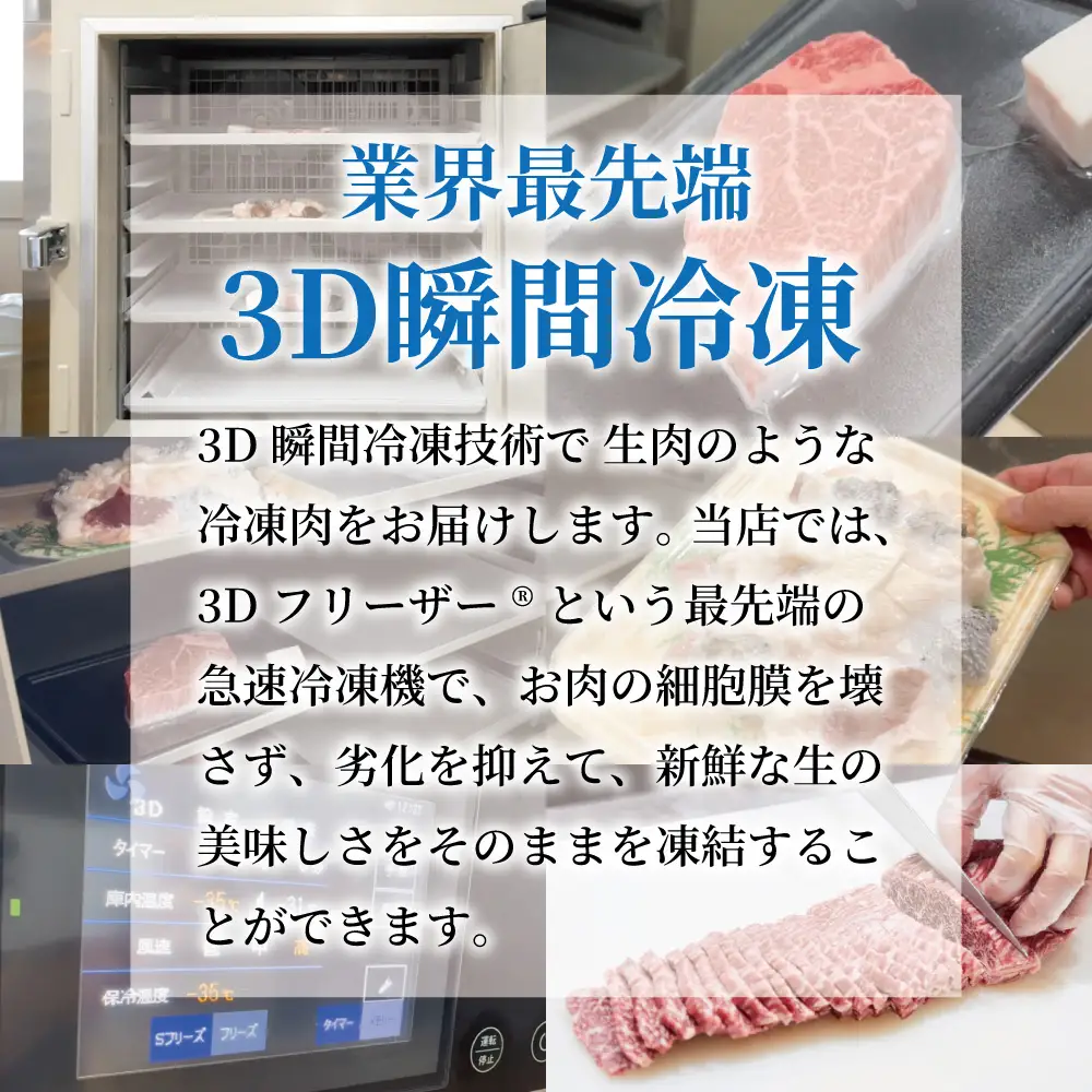 近江牛サーロイン　ステーキ・焼肉用（200g×3枚）【FK13W】