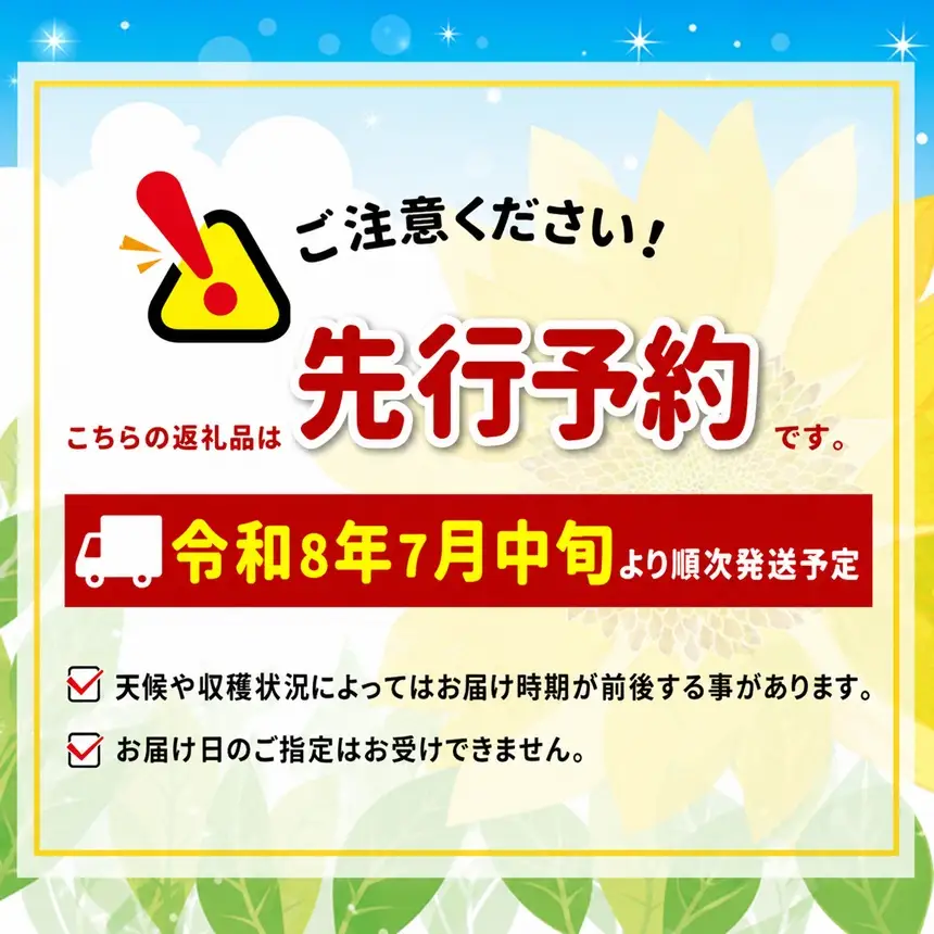 【訳ありご家庭用】 生でも美味しい! 南信州産 ・ 甘旨フルーツ とうもろこし 【12本】＜2026年7月中旬～発送＞| テトテ農園