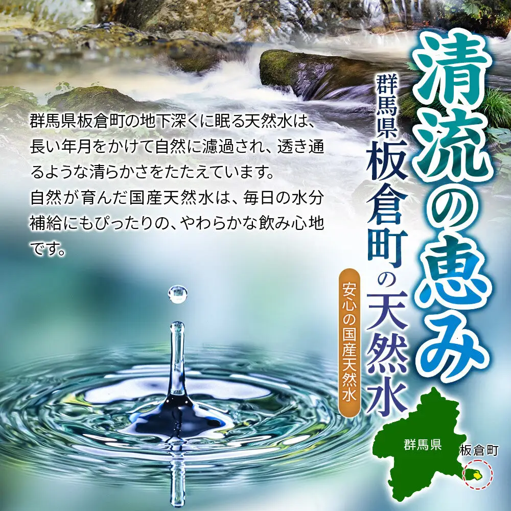水 《定期便9ヶ月》国産 ミネラルウォーター ピュアの森 2L 6本×1箱 ラベルあり