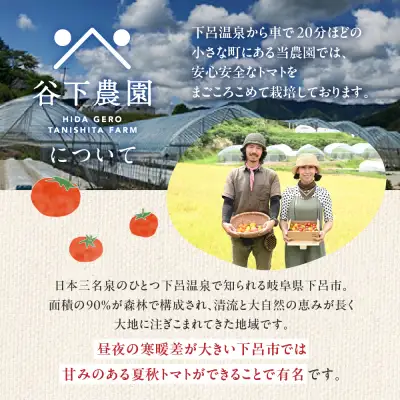 大地の恵みがぎゅーっと詰まったトマトジュース（プレーン）1L×6本【61-24】