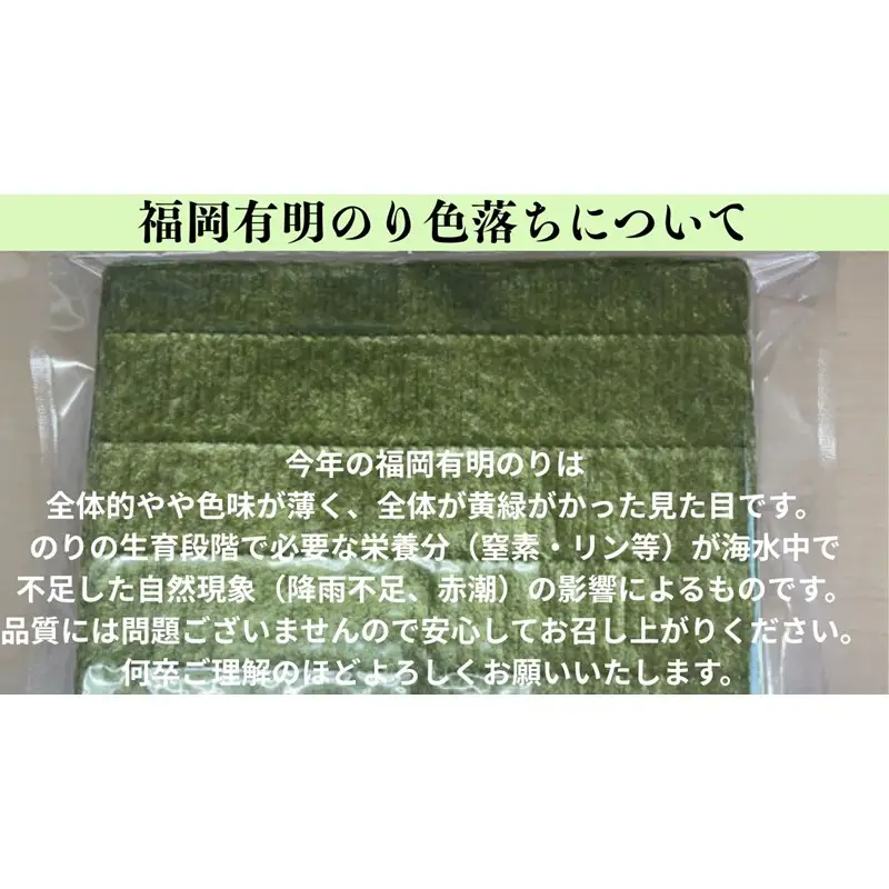 【訳あり】福岡有明のり全形100枚＜竹＞ 【株式会社木村食品】_HA2037