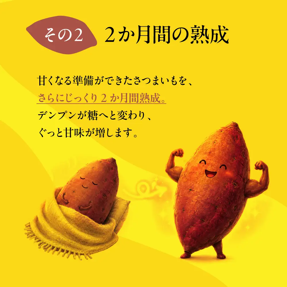 《先行予約》訳あり さつまいも 3kg / さつまいも