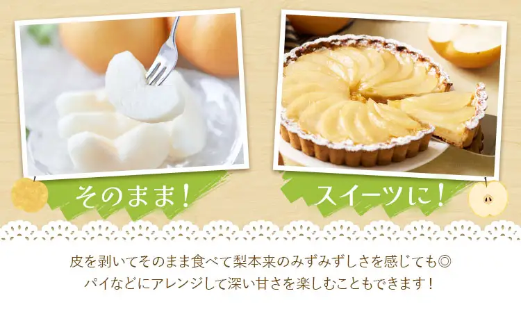 【先行予約】梨 訳あり梨  約5kg 株式会社Foody’s《2026年8月下旬-10月下旬頃出荷》なし 和梨 フルーツ 果物 ご家庭用 不揃い キズあり 菊池市産 熊本県産 九州産