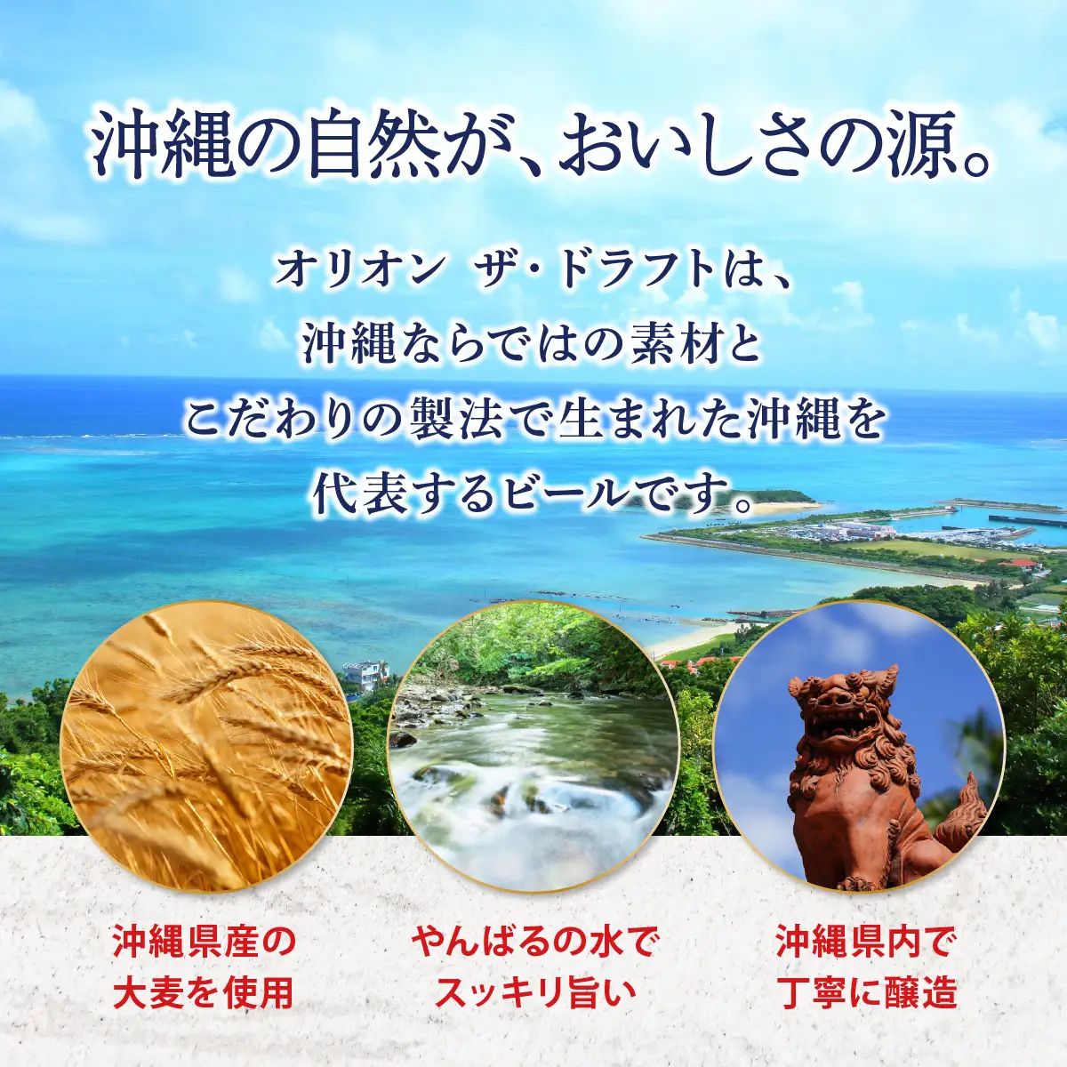 最短3日以内発送！オリオンビール オリオン ザ・ドラフト （500ml缶×24本）
