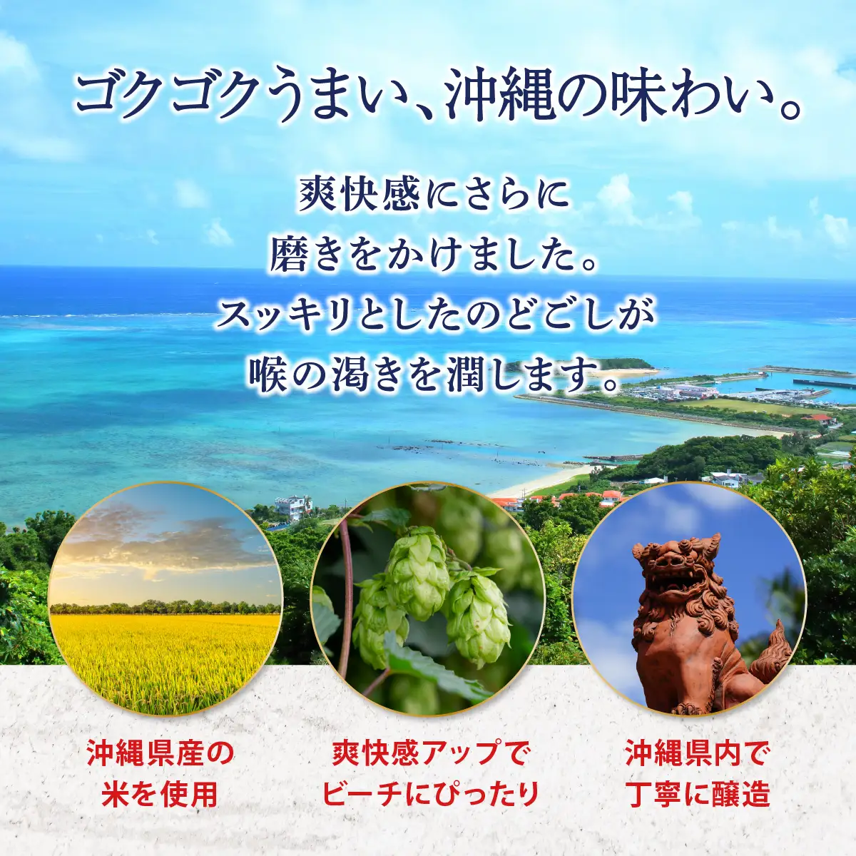 最短3日以内発送！オリオンサザンスター(500ml缶×24本)