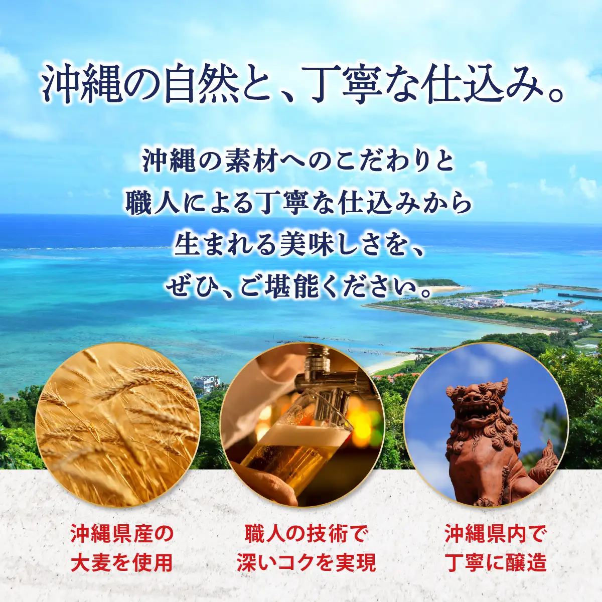 最短3日以内発送！オリオンビール 麦職人 (500ml缶×24本)