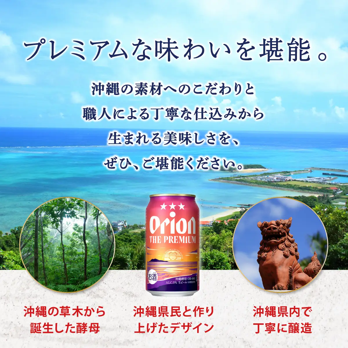 最短3日以内発送！オリオン・ザ・プレミアム（500ml缶×24本）