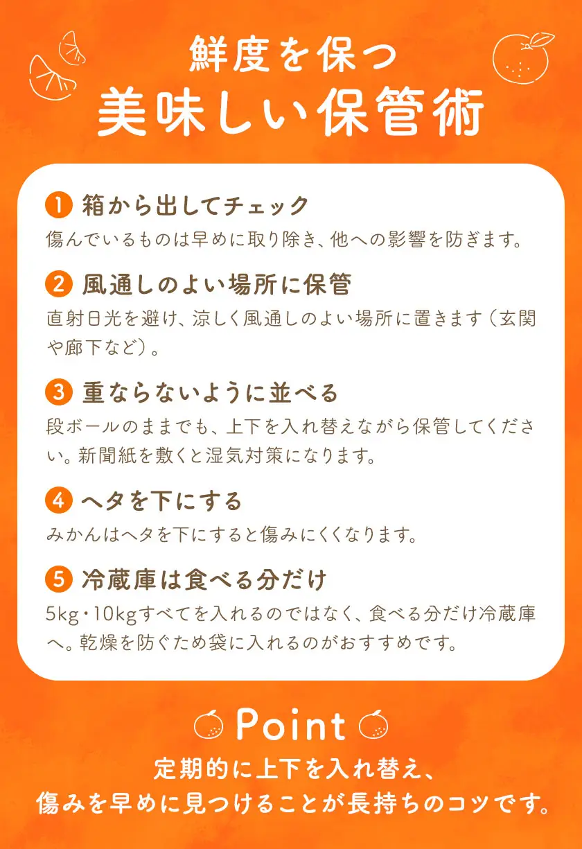かごしま早生みかん L LL サイズ混合 5kg 田野農園《10月中旬-1月中旬頃出荷》鹿児島県 さつま町