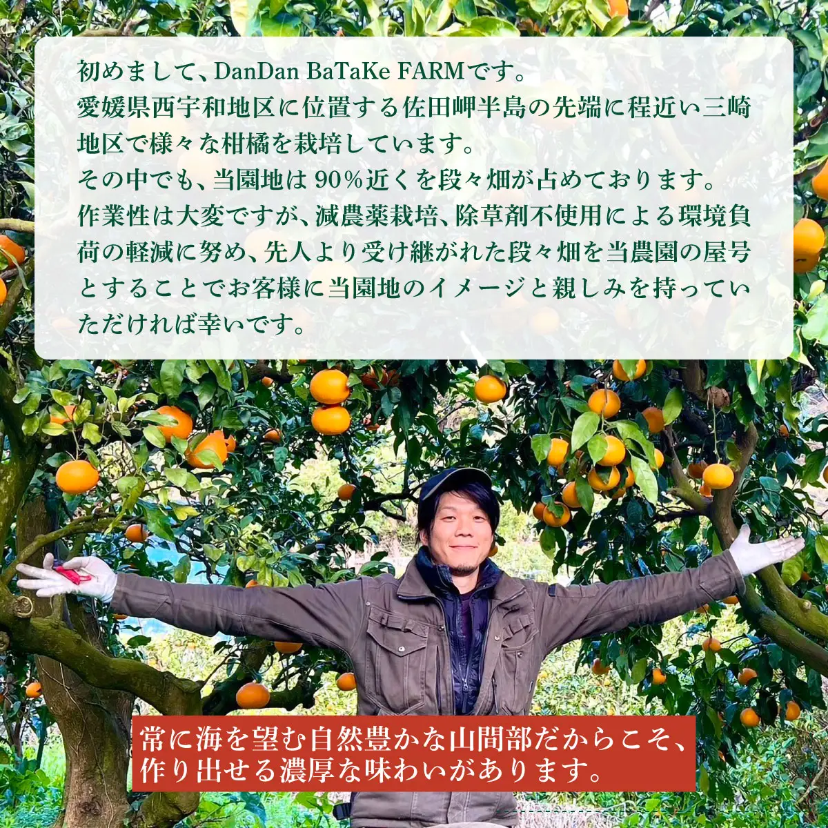 清見オレンジジュース 720ml×2本 ※離島への配送不可　※2026年5月上旬より順次発送予定 IKTAU018