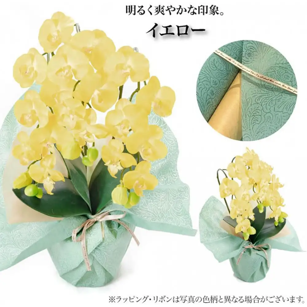 枯れないアーティフィシャルフラワー ミニ胡蝶蘭 3本立ち イエロー SC触媒加工済