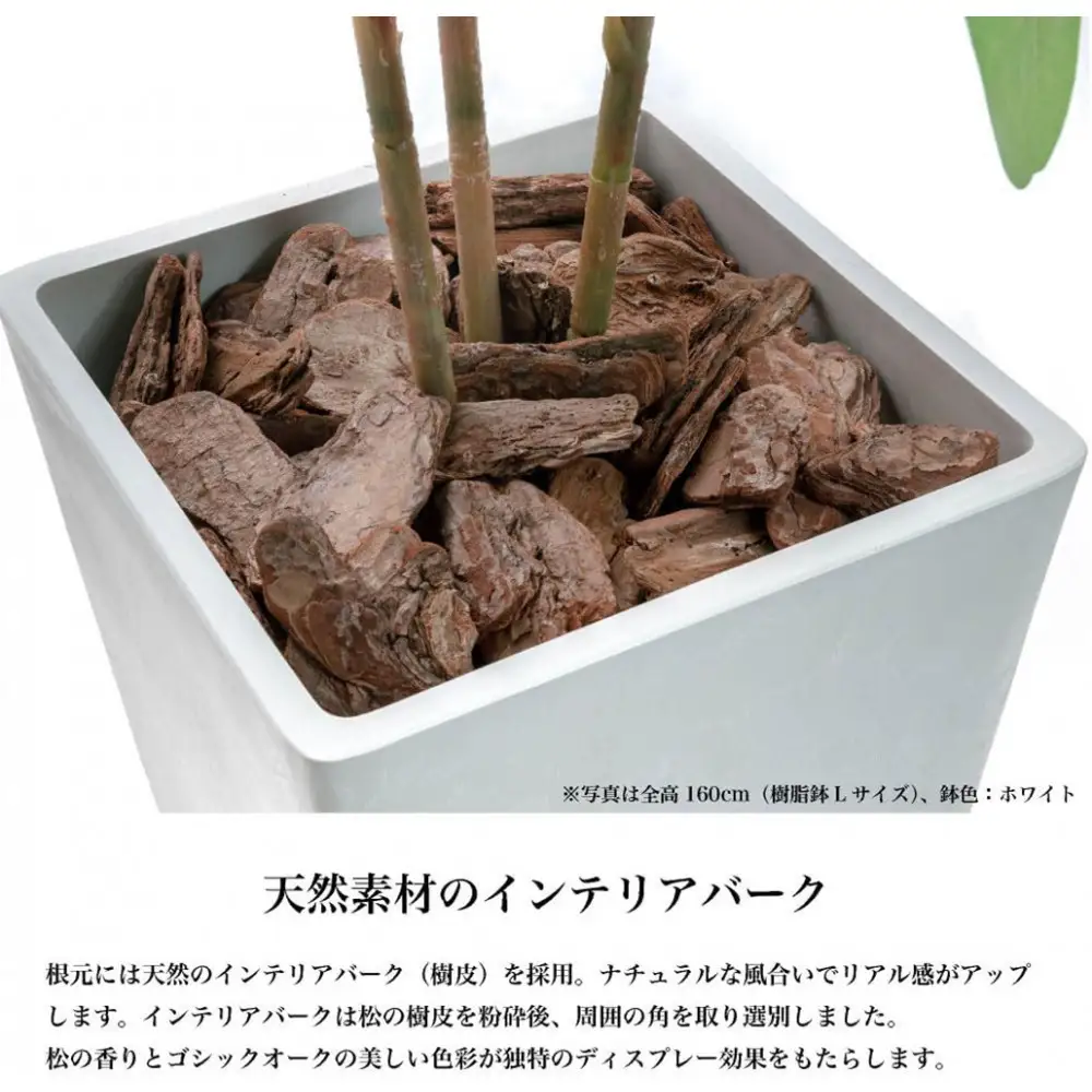 人工観葉植物 カポック斑入り 140cm 樹脂鉢Lサイズ白 SC触媒加工済