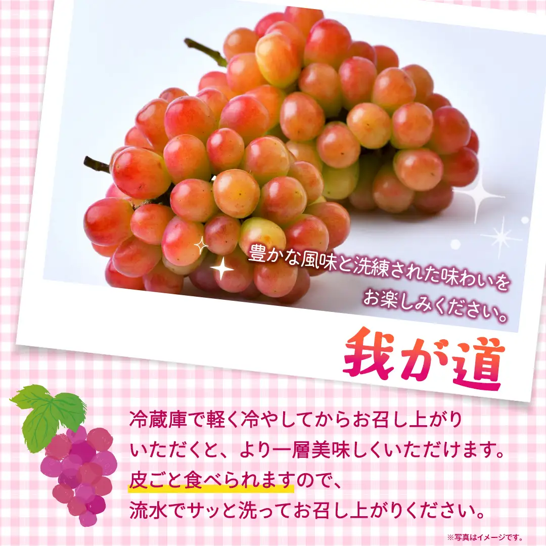我が道 約2kg （約4房）【2026年8月より発送開始】（茨城県共通返礼品 [ぶどう]：結城市産）