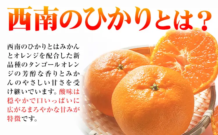 フルーツ 定期便 旬の梨 3kg 西南のひかり 5kg 2回定期便 さかもと果樹園《梨：8月中旬-10月上旬頃出荷 みかん：12月中旬-12月末頃出荷》