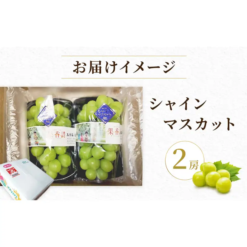 【先行受付】 新潟県産シャインマスカット 2房