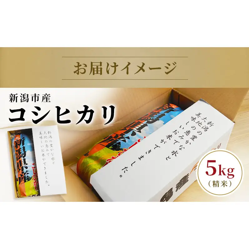 令和7年度米 新潟市産 越後金四郎コシヒカリ（特別栽培米）5kg