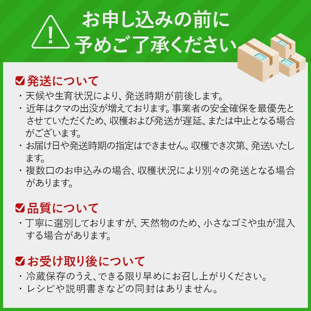 《先行受付》行者ニンニク 約1kg