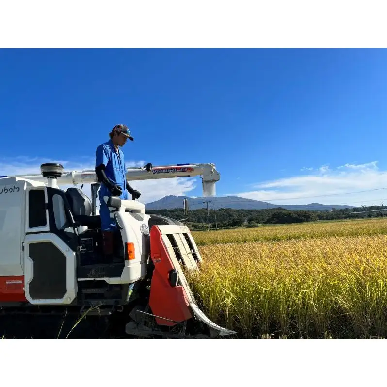 【令和8年産 新米予約】【無洗米】秋田県産特別栽培米あきたこまち5kg×1袋 新米 お米 おこめ 精米 小分け 特別栽培米