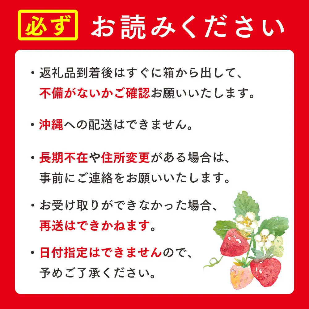 北海道様似町産 すずあかね 300g×2セット いちご いちご