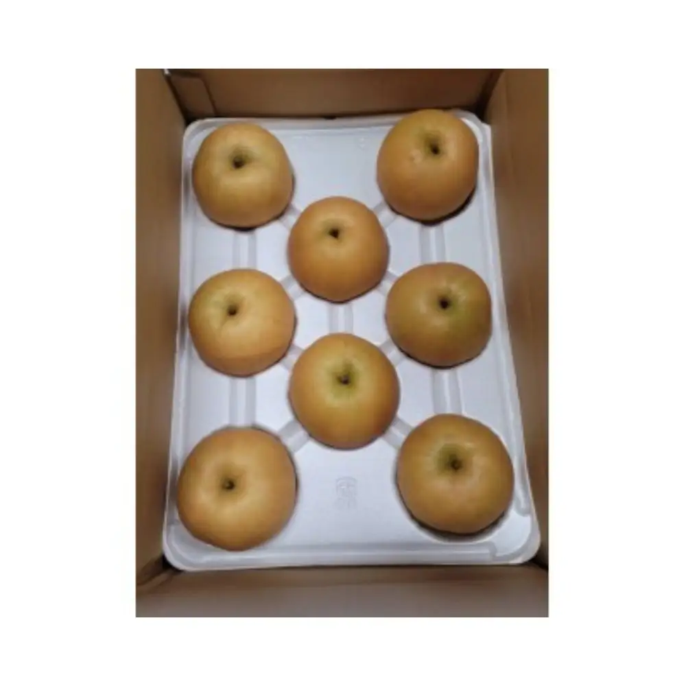 新興梨【自家用】3kg（岸田秀果園） 鳥取 梨 なし ナシ 果物 フルーツ 和梨 新興梨 しんこうなし 人気 自家用 産地直送