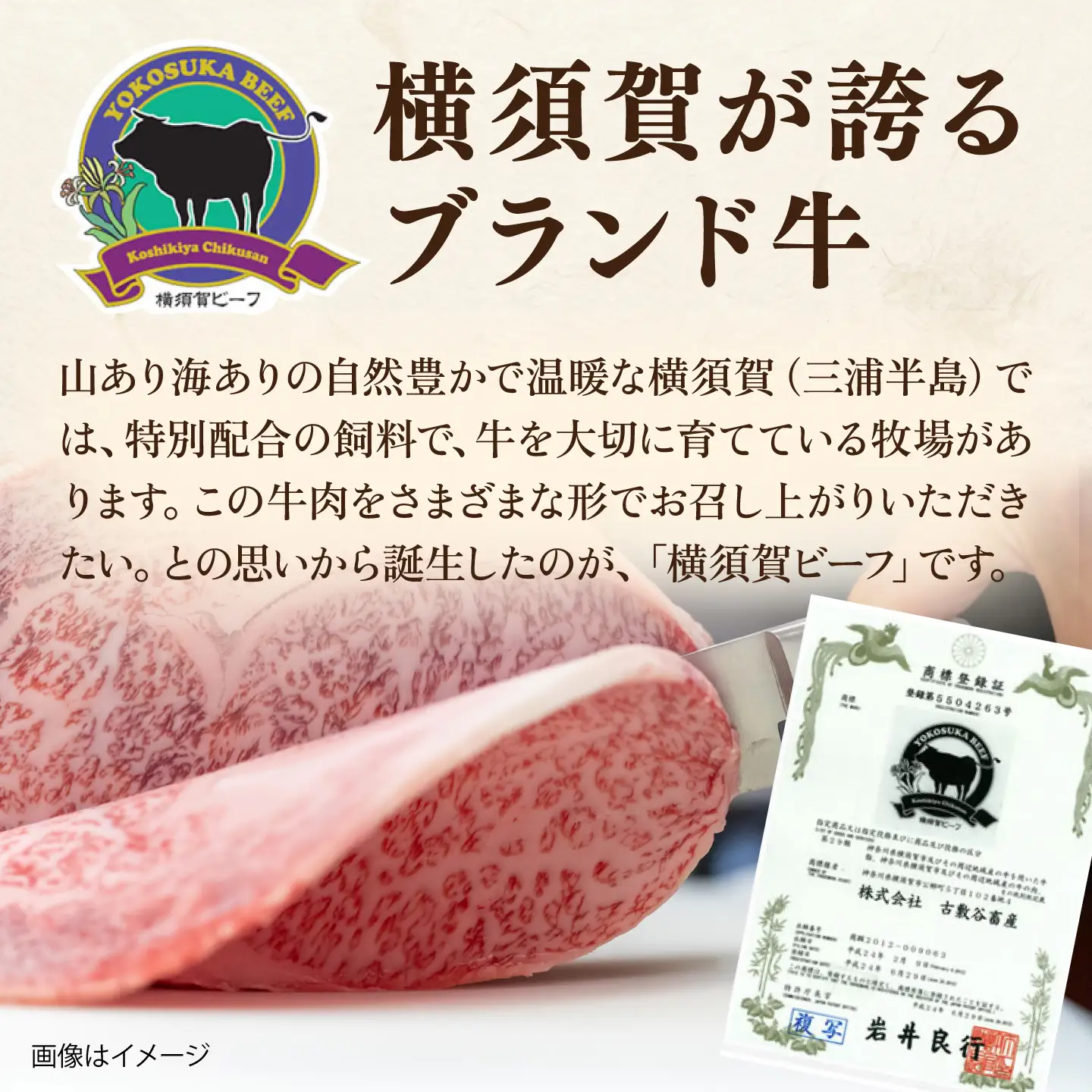 【数量限定10セット】横須賀ビーフ 特上カルビ 約700g 【ヨコスカマルシェ・koshikiya（株）】[AKGO007]