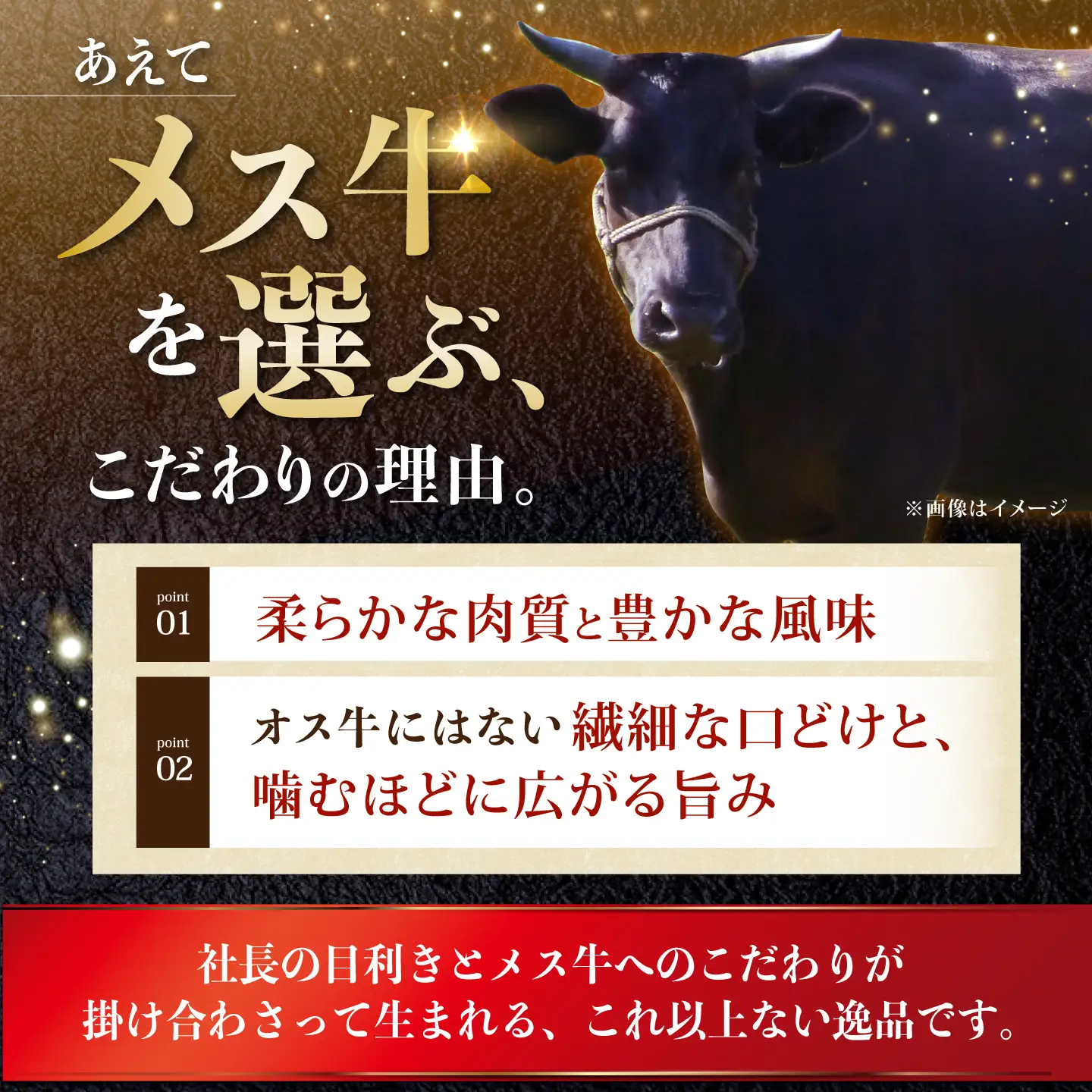 牛肉ランプステーキ 260g 牛肉ステーキ 400g 2種[NA111] 