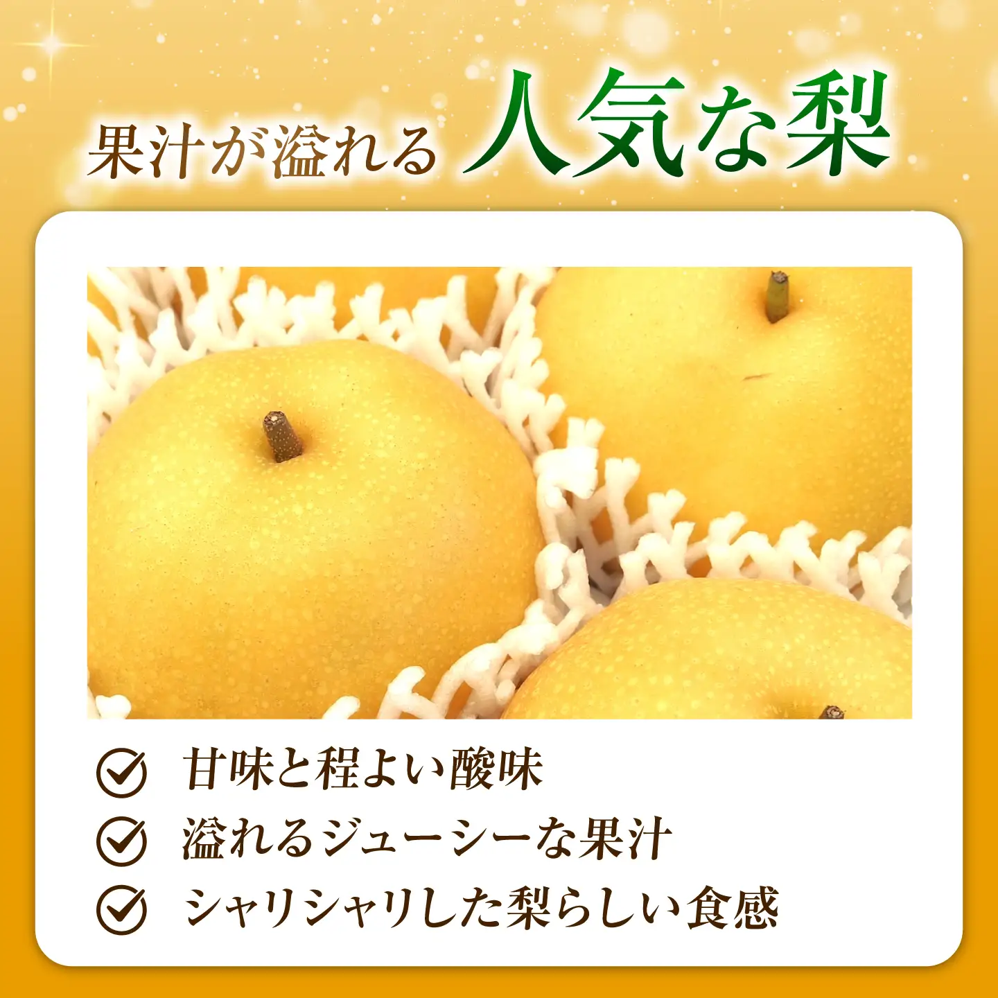 【先行予約】豊水梨 6-9玉入 BKAD111 梨