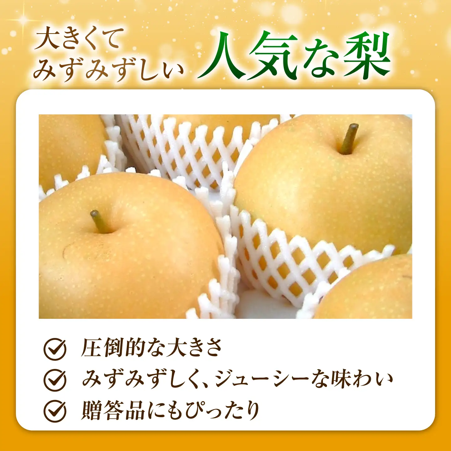【先行予約】あきづき梨 5-6玉入 BKAD115 梨