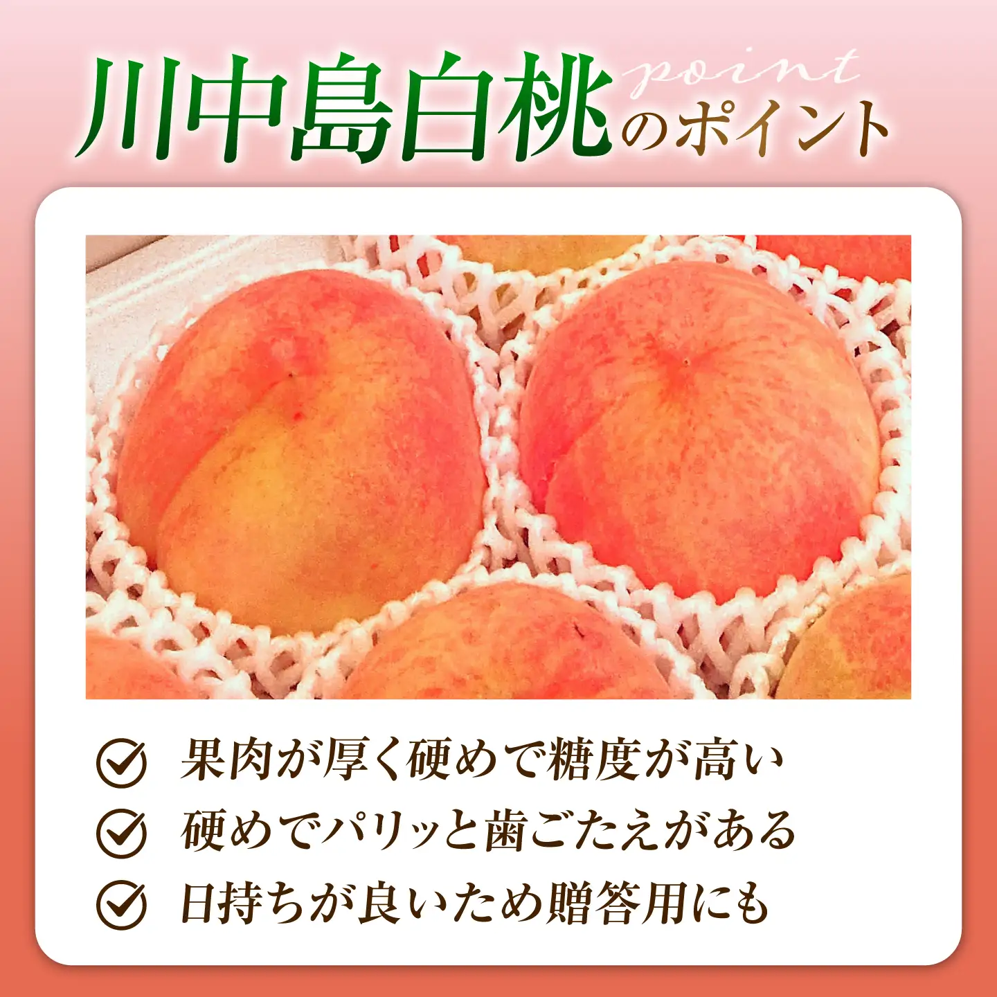 【先行予約】川中島白桃 10〜12玉入り 2026年8月〜発送 BKAD118 桃