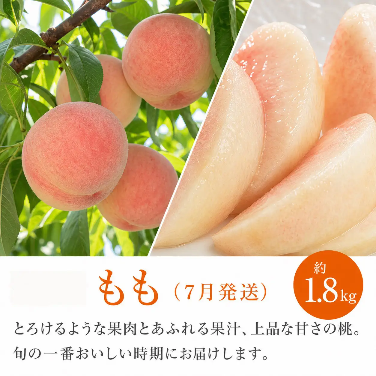 ［全3回 定期便］紀州和歌山産旬のフルーツセット（セミノール・スイカ・桃）［UT151］