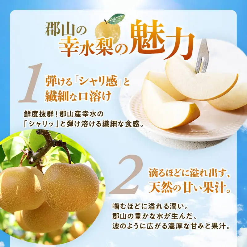 みずみずしく糖度が高い梨 福島県郡山市産 幸水 約1.2kg（3～5玉） 梨 なし ナシ 果物 くだもの フルーツ 福島県 郡山市