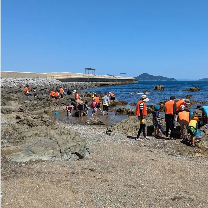 海洋体験施設うみんぐ大島 ビーチコーミング体験1名様分【(株)むなかた大島】_HA2025 体験 チケット 福岡県宗像市 宗像市 福岡 宗像