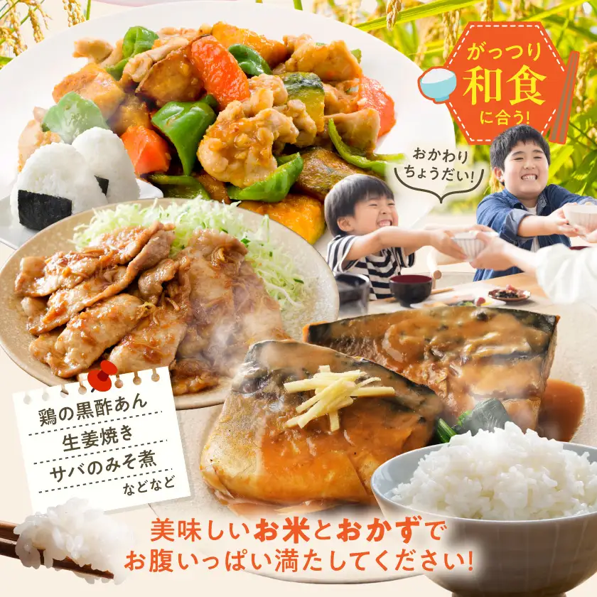 都城産と国産のブレンド米 15kg〔AE-15-014-15kg〕_(都城市)