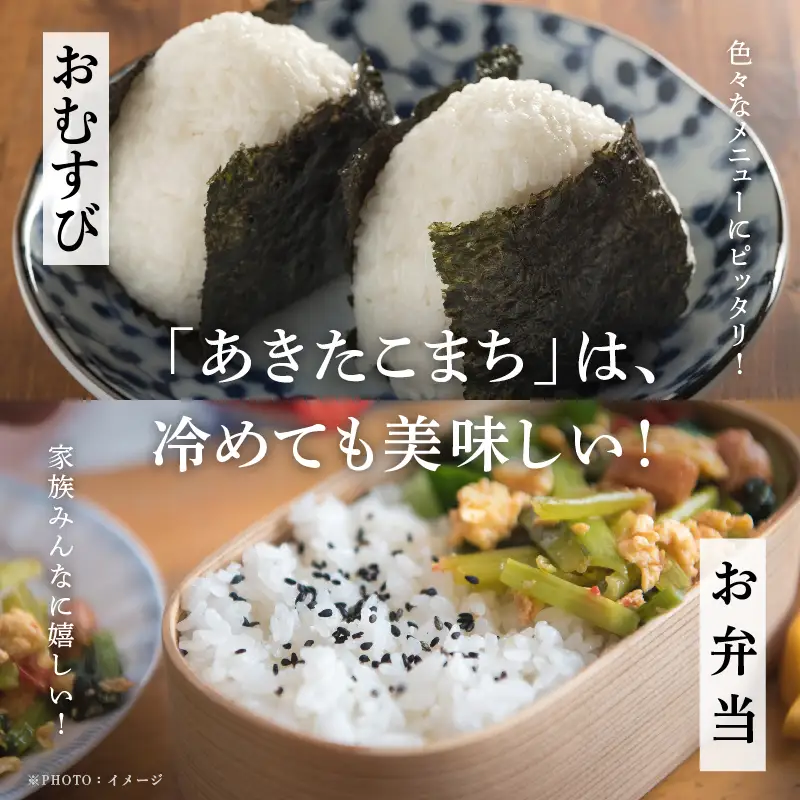 《先行予約》令和8年産 新米 秋田県産 あきたこまち 10kg 精米【鎌仁商店】
