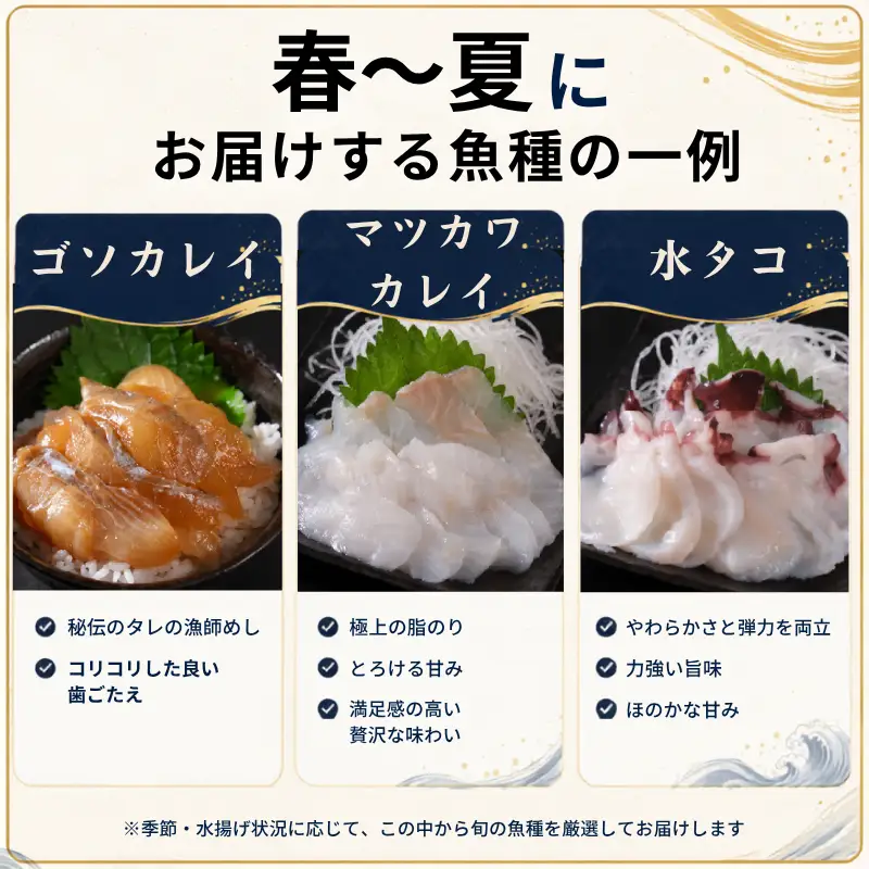 刺身セット 3~4人前 × 年3回定期便 刺身【AK】