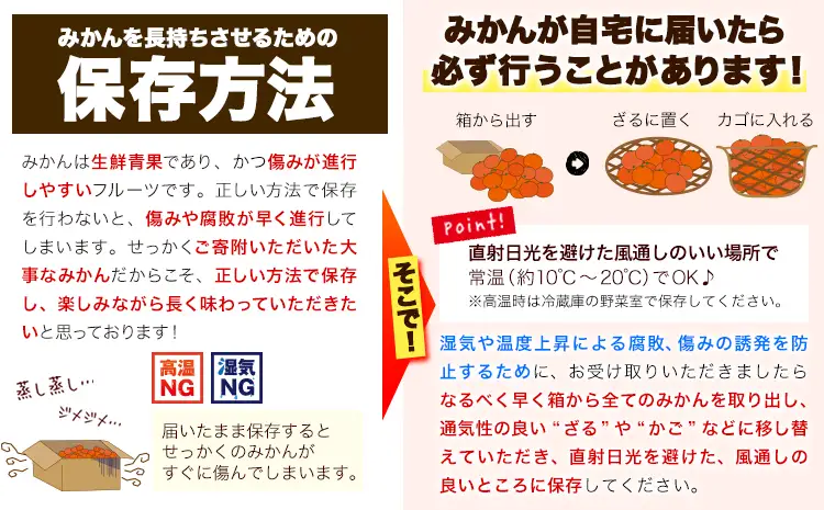 訳あり ゆら早生みかん 5kg 圦本農園 