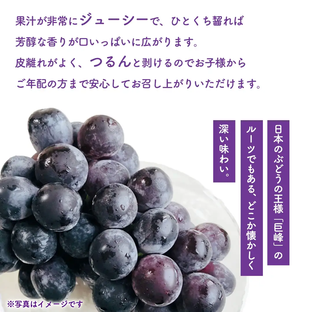 ぶどう キャンベルアーリー 1kg (3～4房)【紫波町佐比内産】 (BC008)