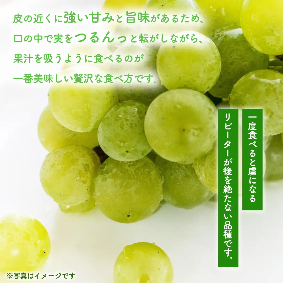 ぶどう ナイアガラ 1kg (3～4房)【紫波町佐比内産】(BC009)