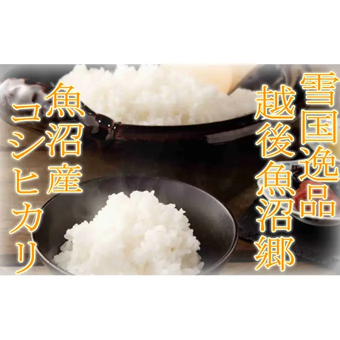 【先行予約 令和8年産】 雪国逸品 精米2kg 越後魚沼郷 魚沼産コシヒカリ お米 人 自然調和 ミネラル 奇跡 自然環境 努カ 香り つや 粘り 極上