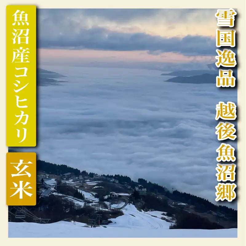 【先行予約 令和8年産】 雪国逸品 玄米2Kg 越後魚沼郷 魚沼産コシヒカリ お米 ブランド米 銘柄米 ご飯 おにぎり お弁当 和食 産地直送 香り つや 粘り 