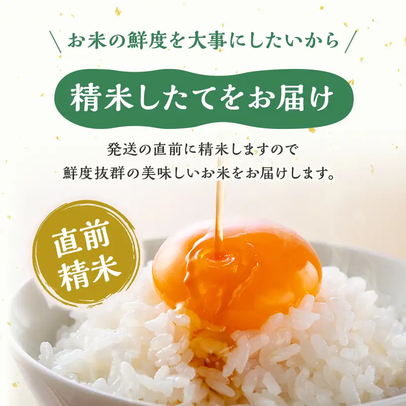 【先行予約 令和8年産】 雪国逸品 無洗米5kg 越後魚沼郷    魚沼産コシヒカリ