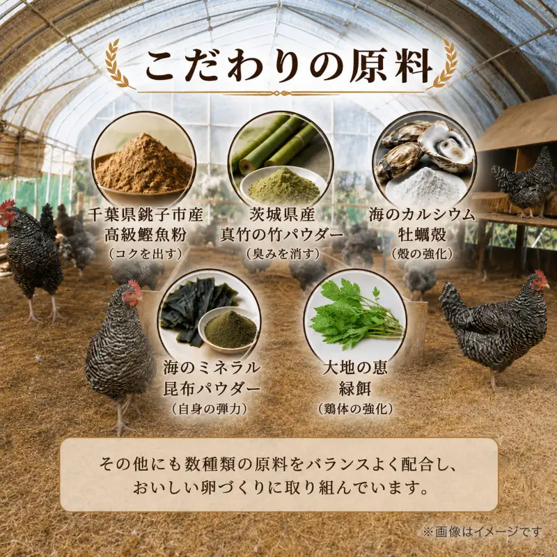 卵 朝採れ 平飼い 自然卵 60個 割れ補償付き