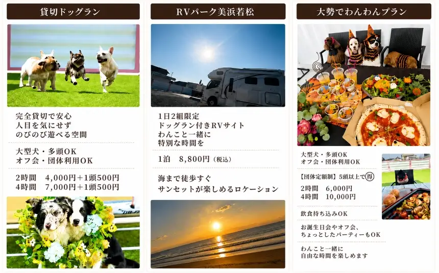 ドッグラン利用券（4,000円分）｜ドッグラン cocoronlife