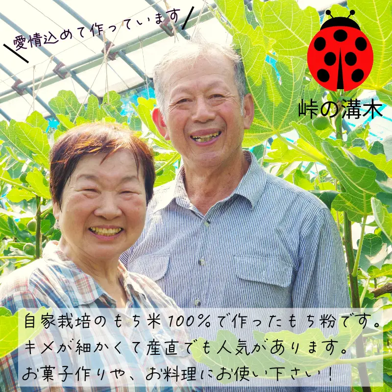 もち粉 溝木さんの餅粉 2kg(500g×4袋）グルテンフリー 白玉 みたらし団子 おしるこ 餅 餅粉 お正月 もち おもち omochi 国産 自家製 小松島市