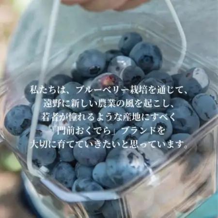 冷凍ブルーベリー ちょっと小さめ Mサイズ 1kg (500g×2個) 門前おくでらブルーベリー園【配送不可地域：離島】【1738476】