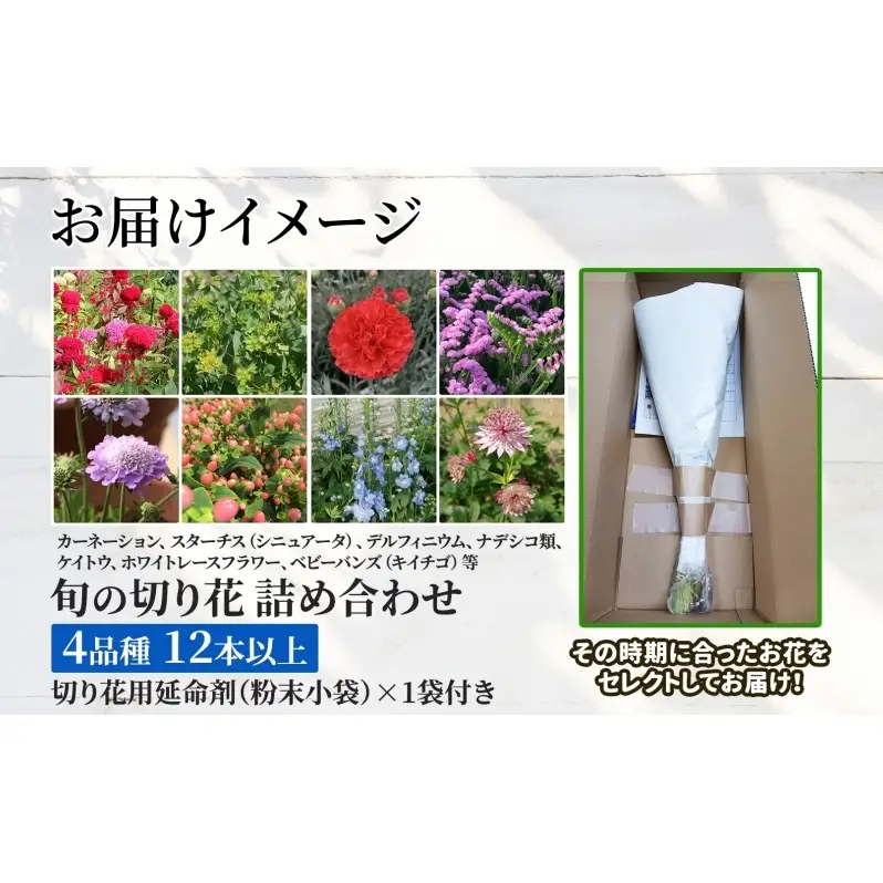 ＜10月配送＞ 北海道 花 詰め合わせ 4品種 12本以上 切り花 切花 花束 ブーケ 季節 旬 生花 フラワー アレンジメント 記念日 産地直送 つきがたふるさと花の会